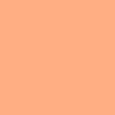 Rosco - 108 English Rose