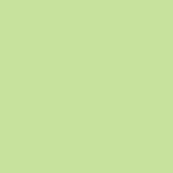 Rosco - 138 Pale Green